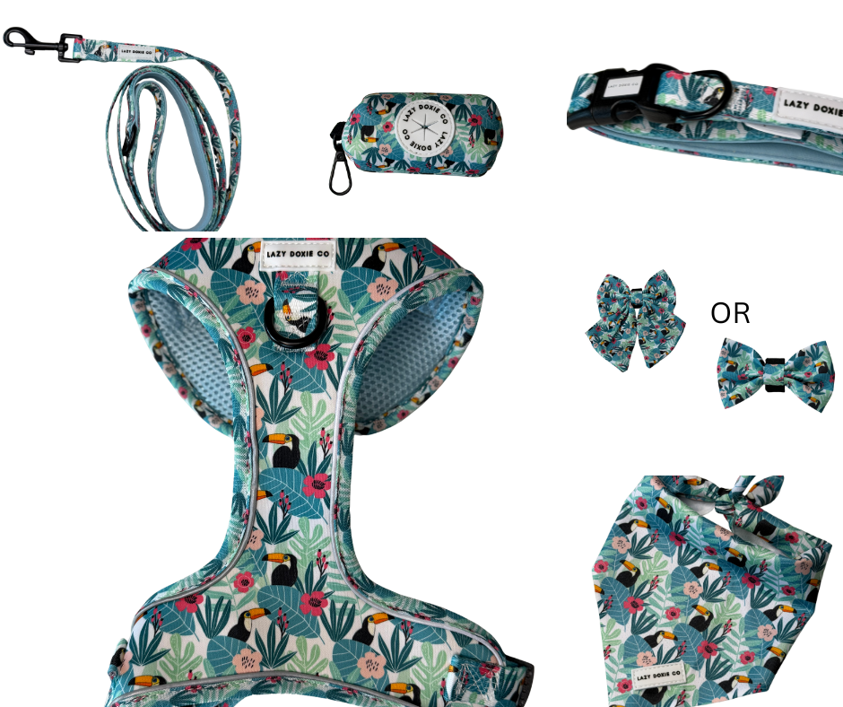 Daily Doxie Bundle - Doxiecana