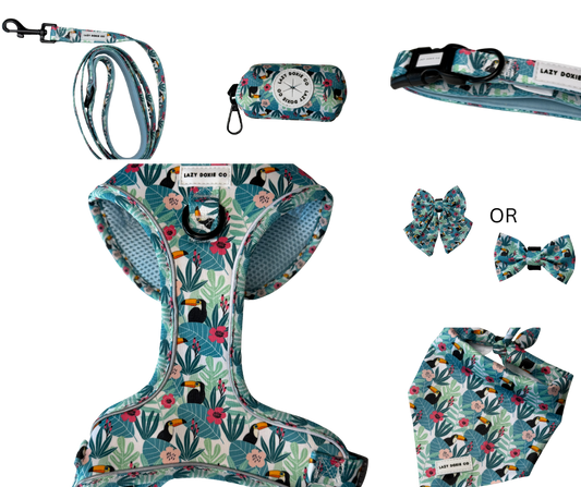 Daily Doxie Bundle - Doxiecana