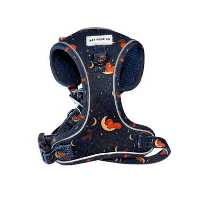 Dachshund Harness - 'Puppy Starter Harness Pack' - Lazy Doxie Co