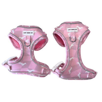 Dachshund Harness - 'Puppy Starter Harness Pack' - Lazy Doxie Co