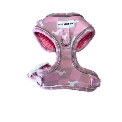 Dachshund Harness - 'Puppy Starter Harness Pack' - Lazy Doxie Co
