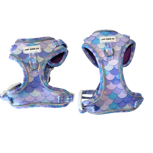 Dachshund Harness - 'Puppy Starter Harness Pack' - Lazy Doxie Co