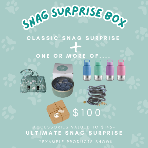 Snag Surprise Boxes