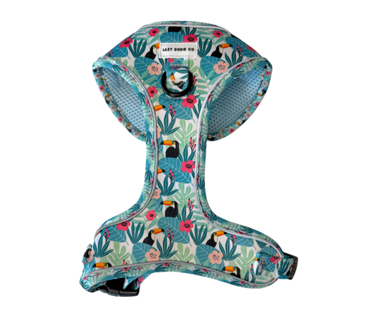 Dachshund Harness - Doxiecana