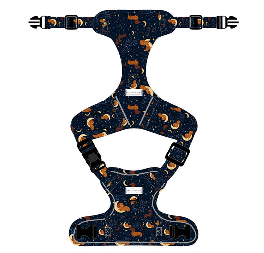 Dachshund Harness - 'Step-In' COMING SOON