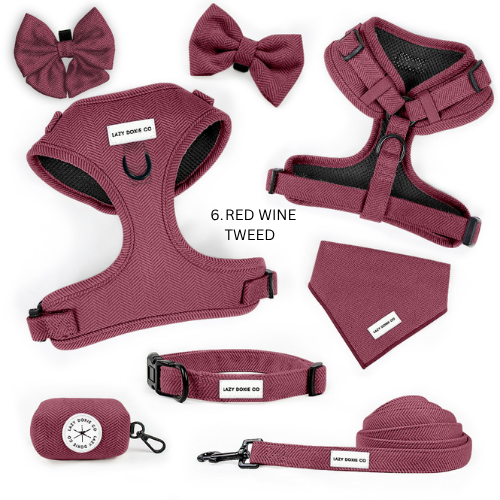 Tweed Dachshund Harness