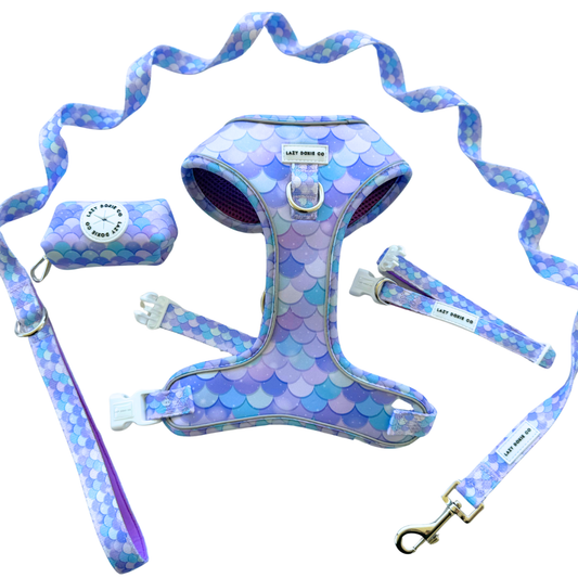 Snag + Go Bundle - 'Pawmaid Dreams'