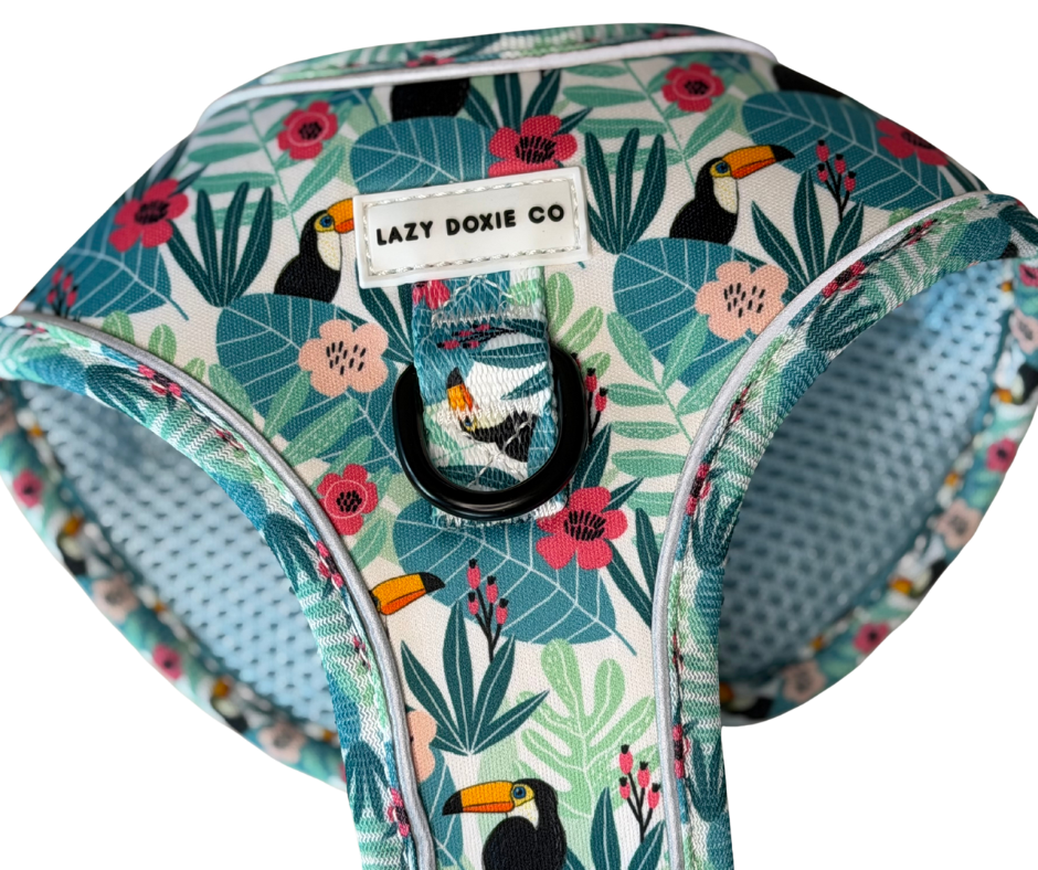 Dachshund Harness - Doxiecana