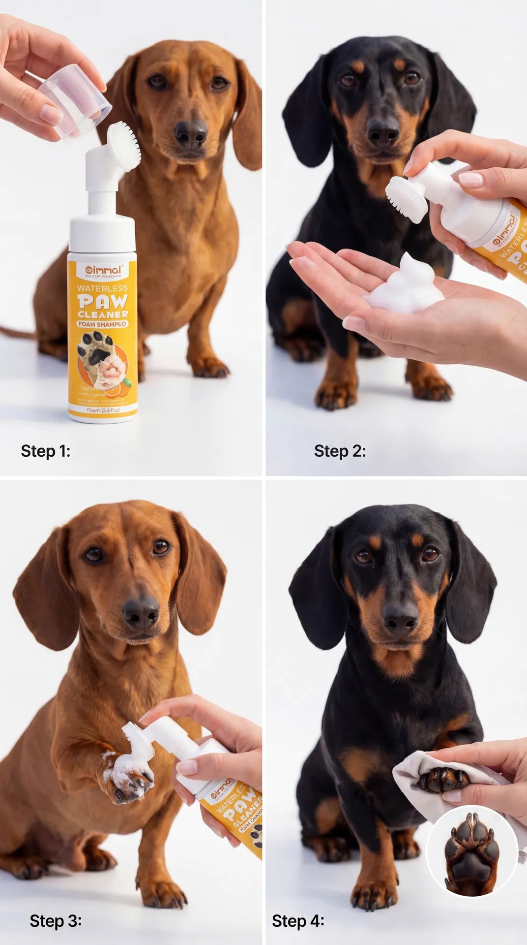 Hands-free Dachshund Walk