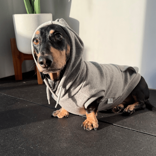 Fleecy Hoodies - Lazy Doxie Co