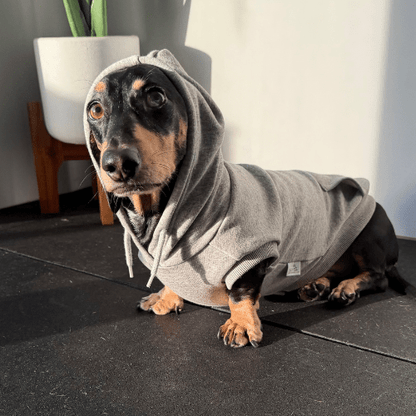 Fleecy Hoodies - Lazy Doxie Co