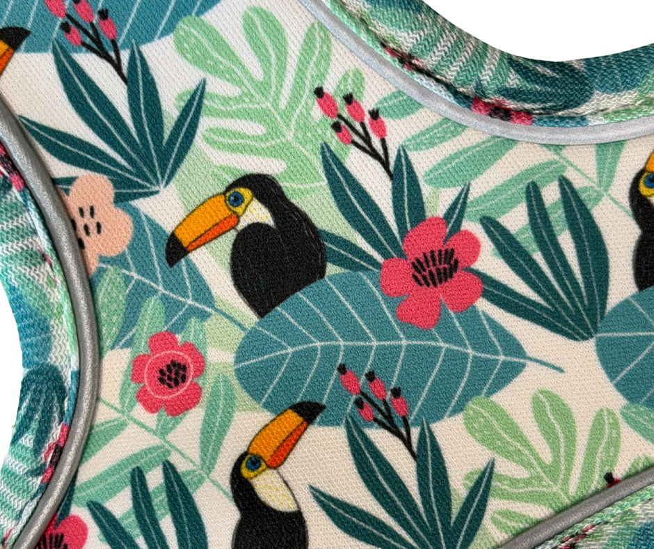 Dachshund Harness - Doxiecana