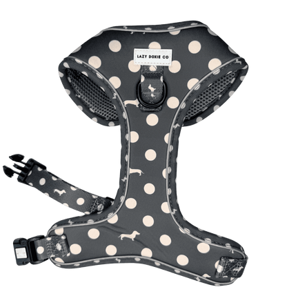 Snag + Go Bundle - Harness Bundle - Lazy Doxie Co