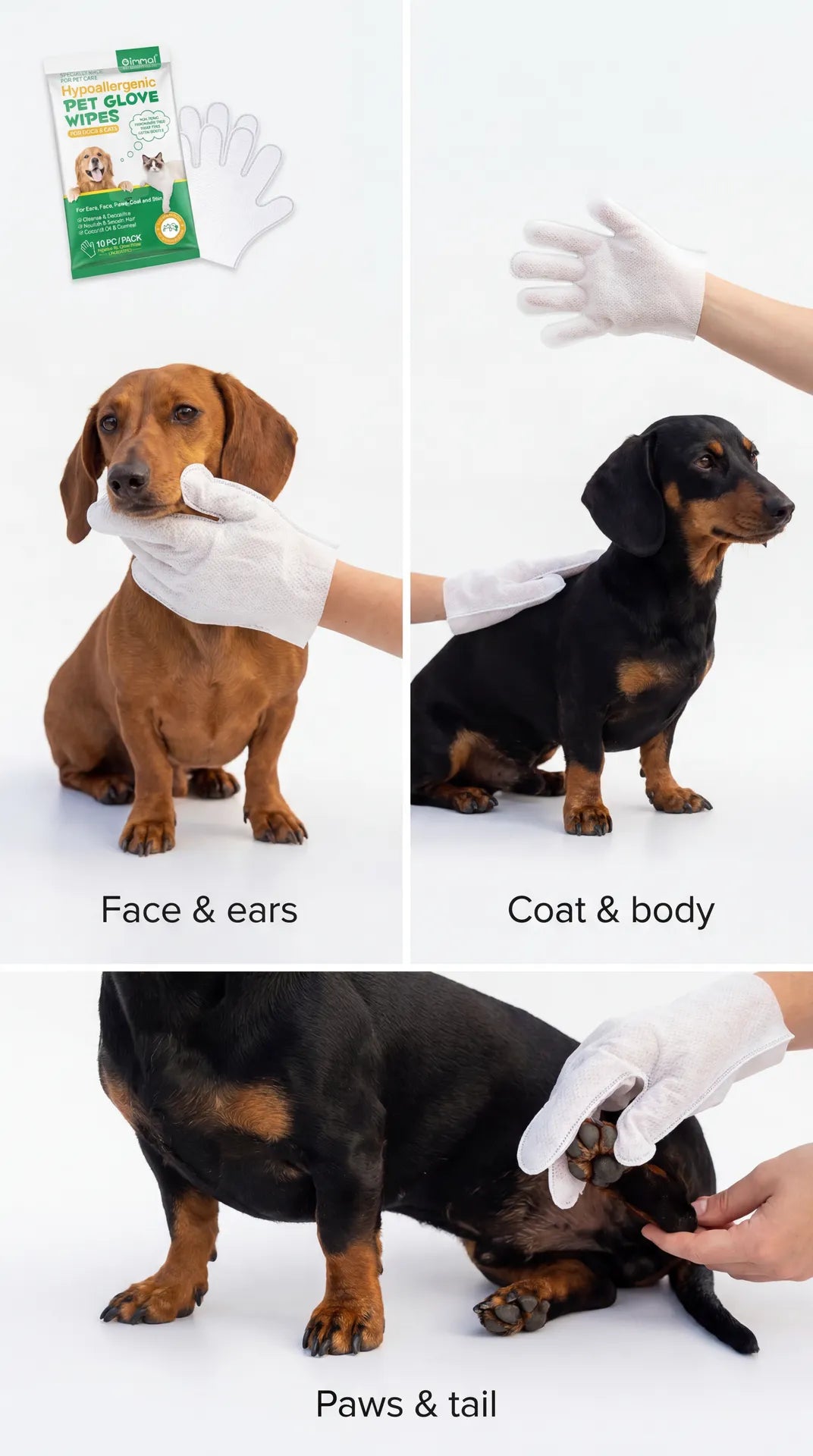 Dog Cleaning Gloves - 10pk - Lazy Doxie Co