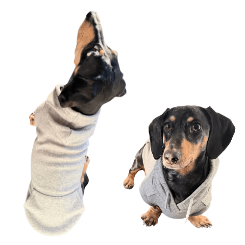 Fleecy Hoodies - Lazy Doxie Co