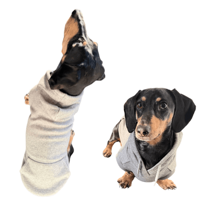 Fleecy Hoodies - Lazy Doxie Co