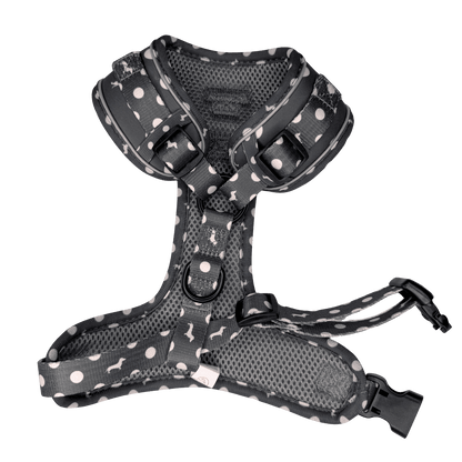 Dachshund Harness - Lazy Doxie Co