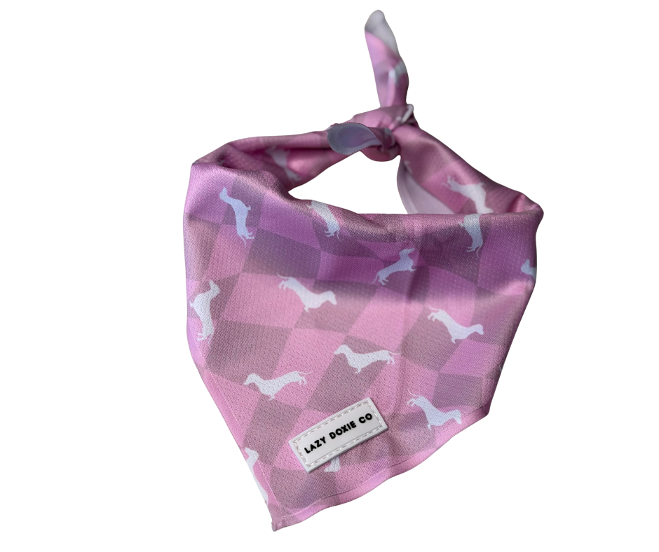 Bandana - Pinky Pupwalk