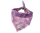 Bandana - Pinky Pupwalk