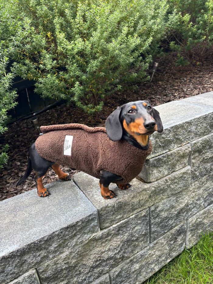 Teddy Fleece Doxie Coat - Lazy Doxie Co