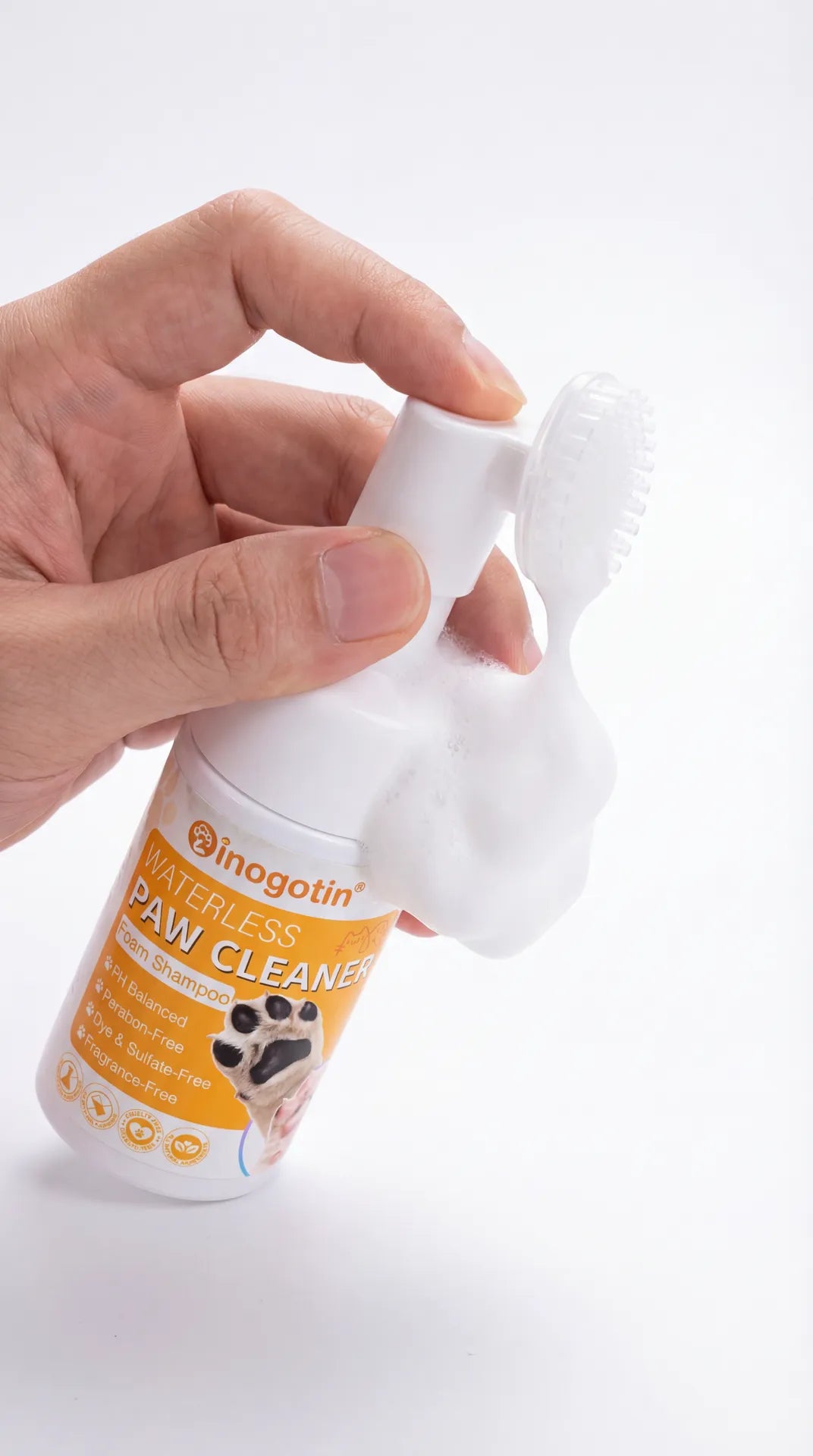 Hands-free Dachshund Walk