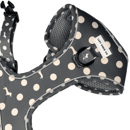 Dachshund Harness - Lazy Doxie Co