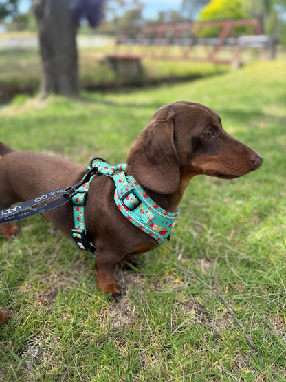 Dachshund Harness - Lazy Doxie Co