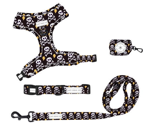 Snag + Go Bundle - 'Bad to the Bone'