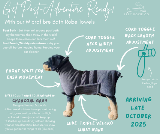 Microfibre Dog Robe