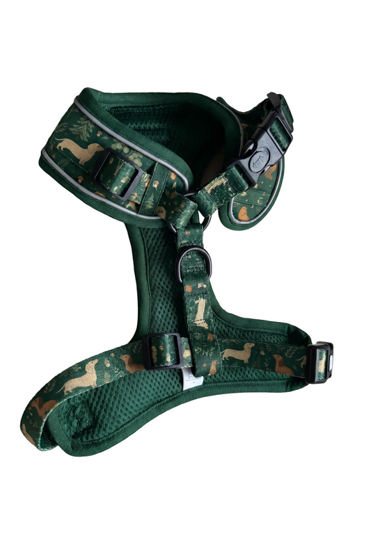 Daily Doxie Bundle - StepIn Harness + Sailor Bow