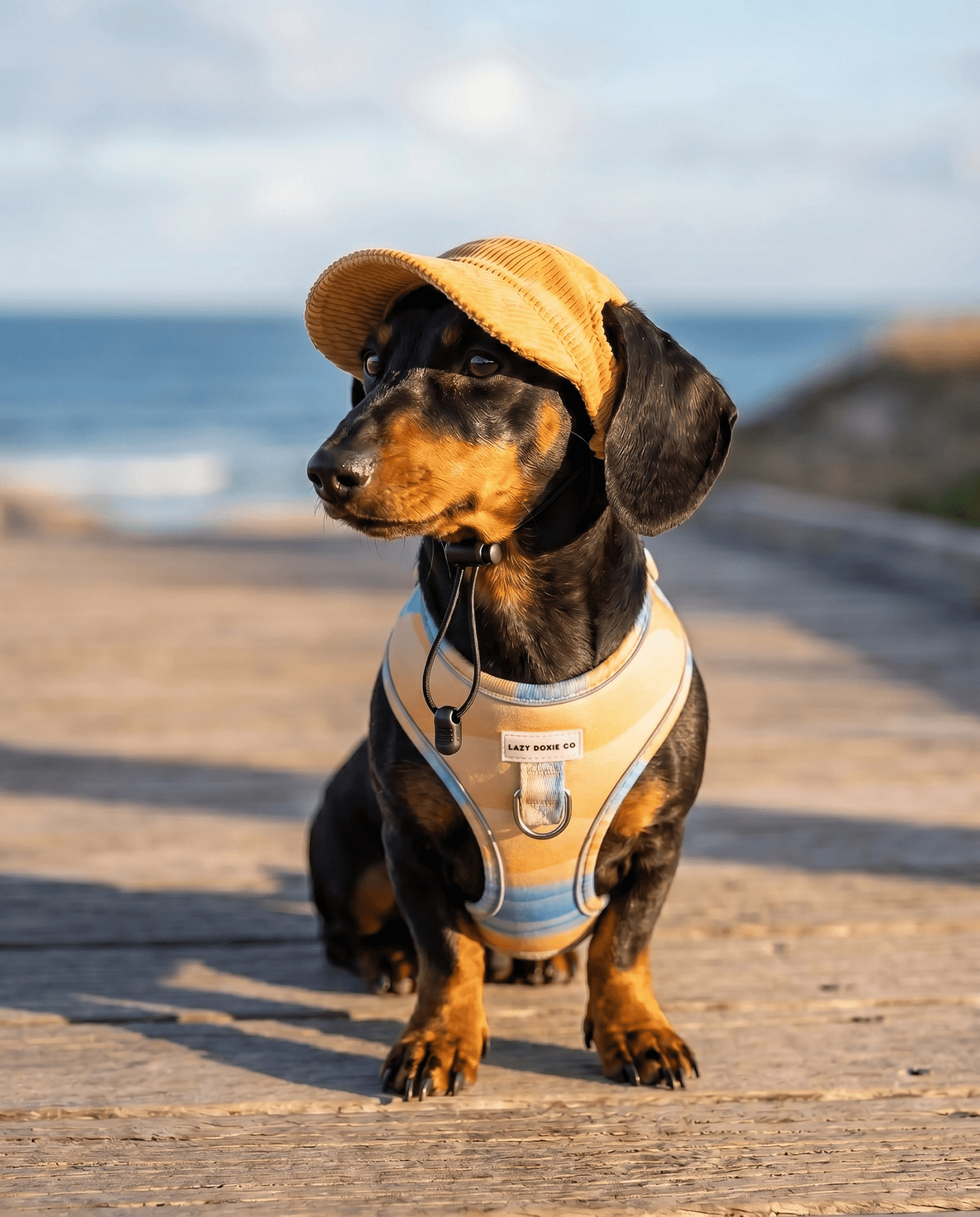 Sun Hats - Lazy Doxie Co