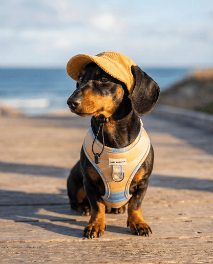 Sun Hats - Lazy Doxie Co