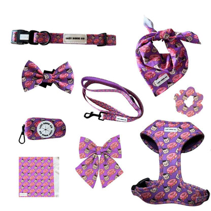 Lazy Luxe Bundle - Dachuccino