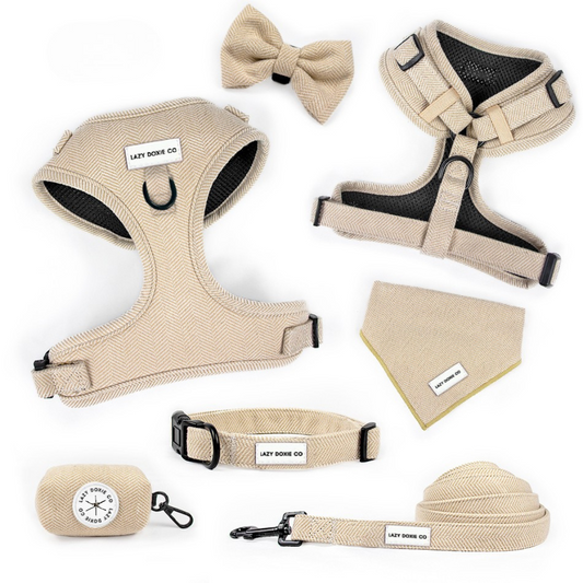 Daily Doxie Bundle - Bark de Le Taco - Lazy Doxie Co