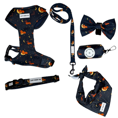Daily Doxie Bundle - Dashtrology - Lazy Doxie Co