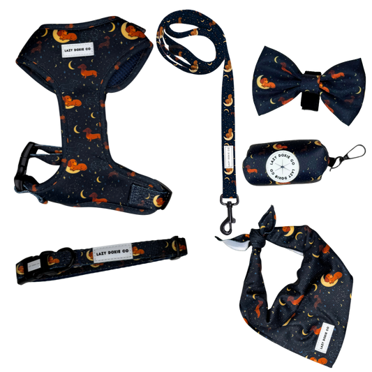Daily Doxie Bundle - Dashtrology - Lazy Doxie Co