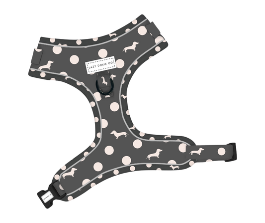 Dachshund Harness - 'Dash 'n' Dots'
