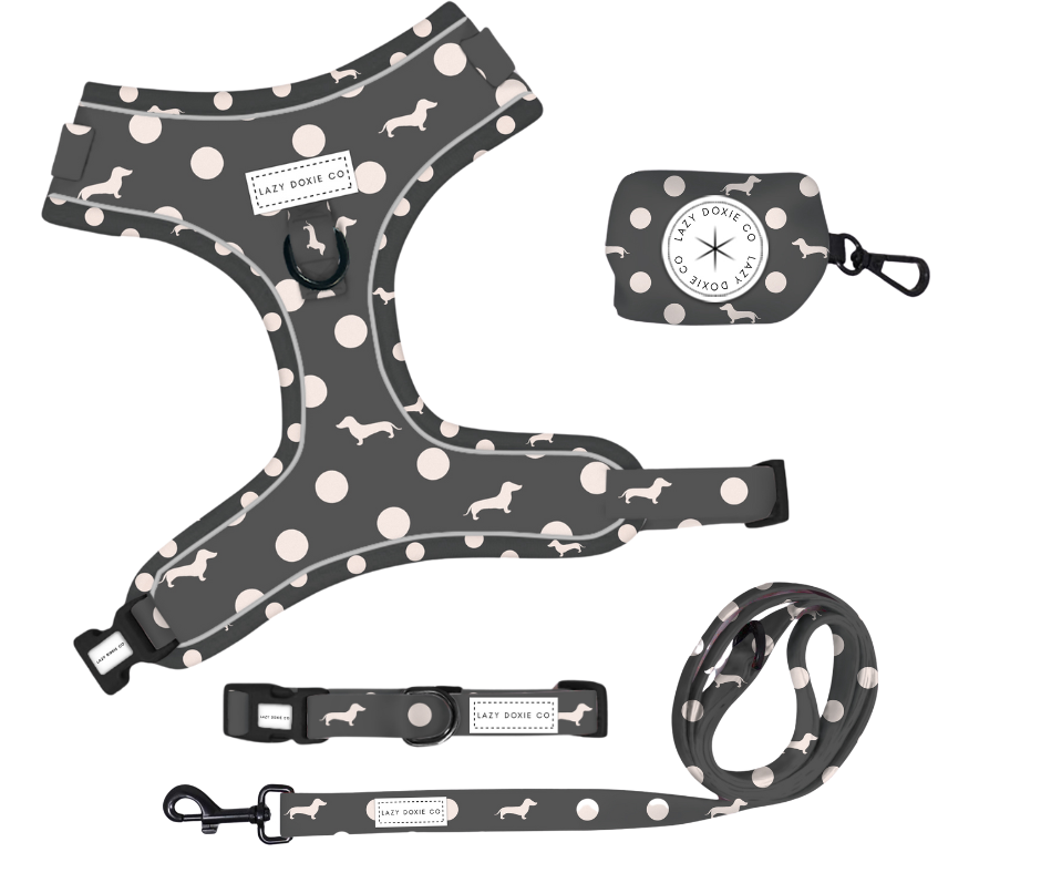 Snag + Go Bundle - 'Dash 'n' Dots