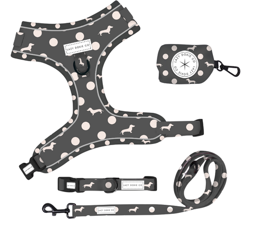 Snag + Go Bundle - 'Dash 'n' Dots