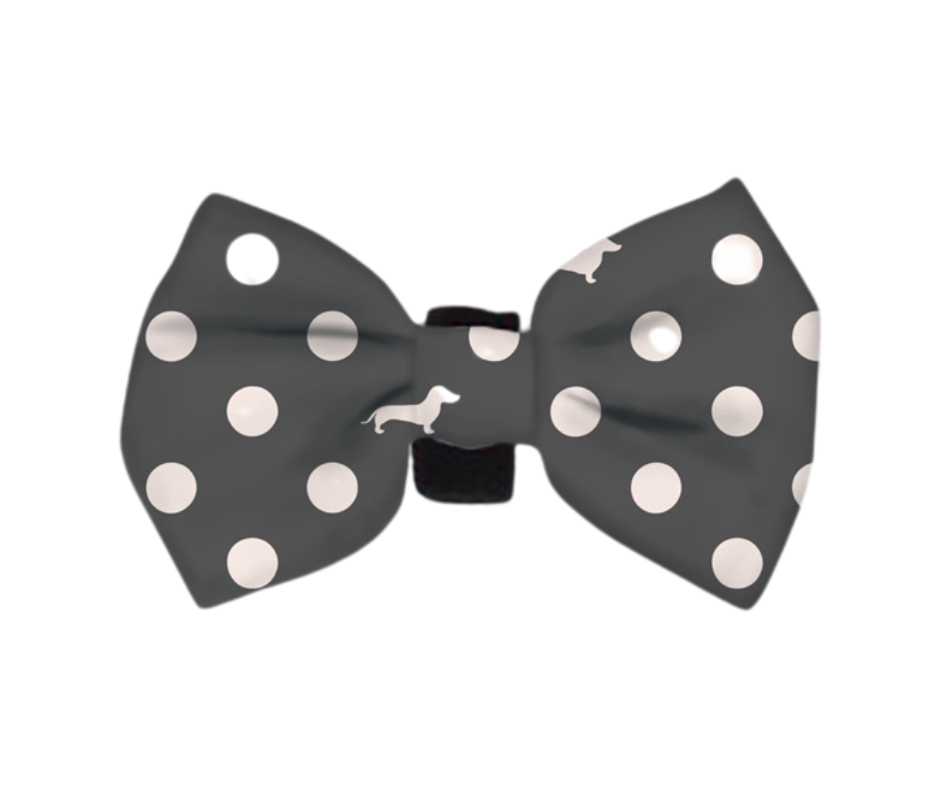 Daily Doxie Bundle - 'Dash 'n' Dots'