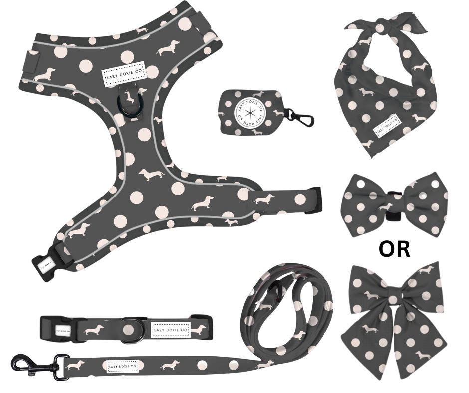 Daily Doxie Bundle - 'Dash 'n' Dots'