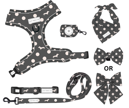 Daily Doxie Bundle - 'Dash 'n' Dots'