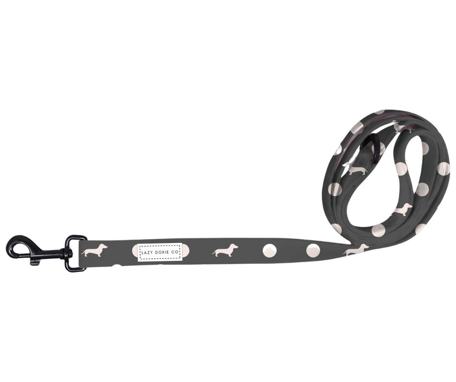 Dachshund Leash - 'Dash 'n' Dots'