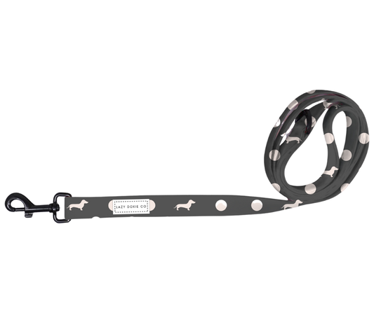 Dachshund Leash - 'Dash 'n' Dots'