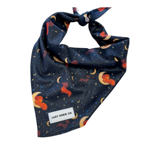 Bandana - Dashtrology - Lazy Doxie Co