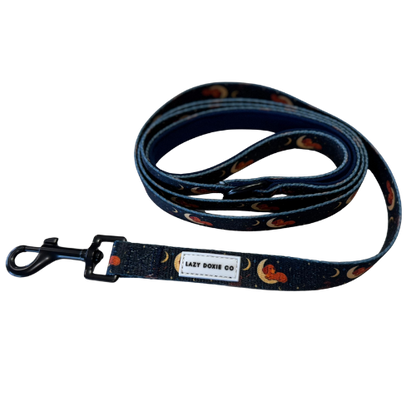Leash - Dashtrology - Lazy Doxie Co