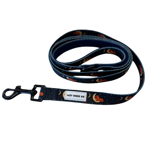 Leash - Dashtrology - Lazy Doxie Co