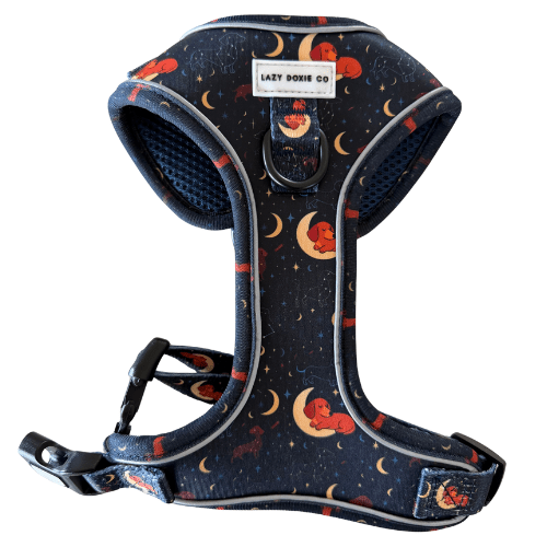 Snag + Go Bundle - Harness Bundle - Lazy Doxie Co