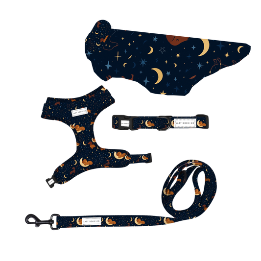 Winter Walkies Harness Bundle - Dashtrology