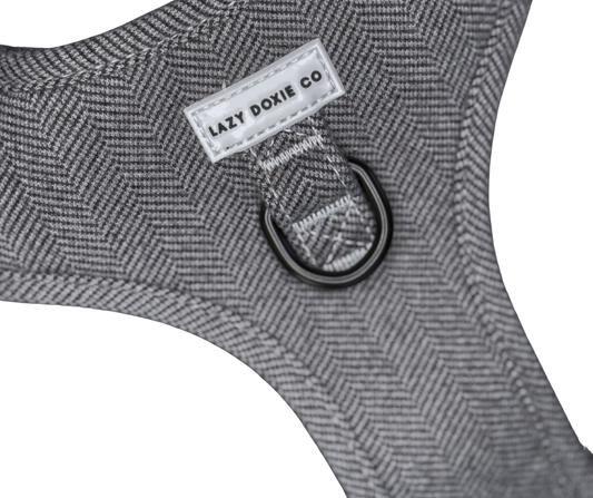 Snag + Go Bundle - Daxedo Noir